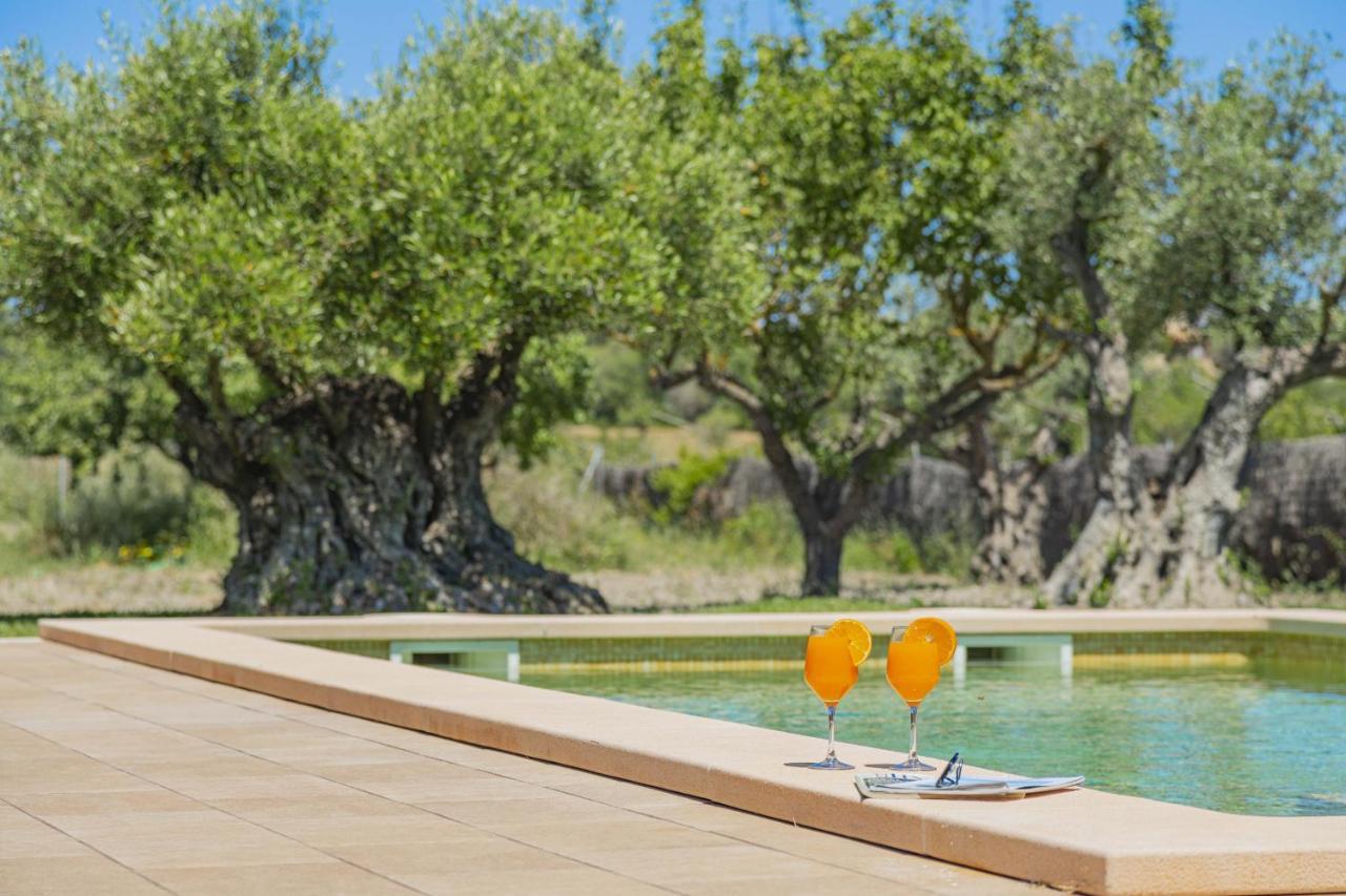 Villa Can Segue Alcúdia Kültér fotó