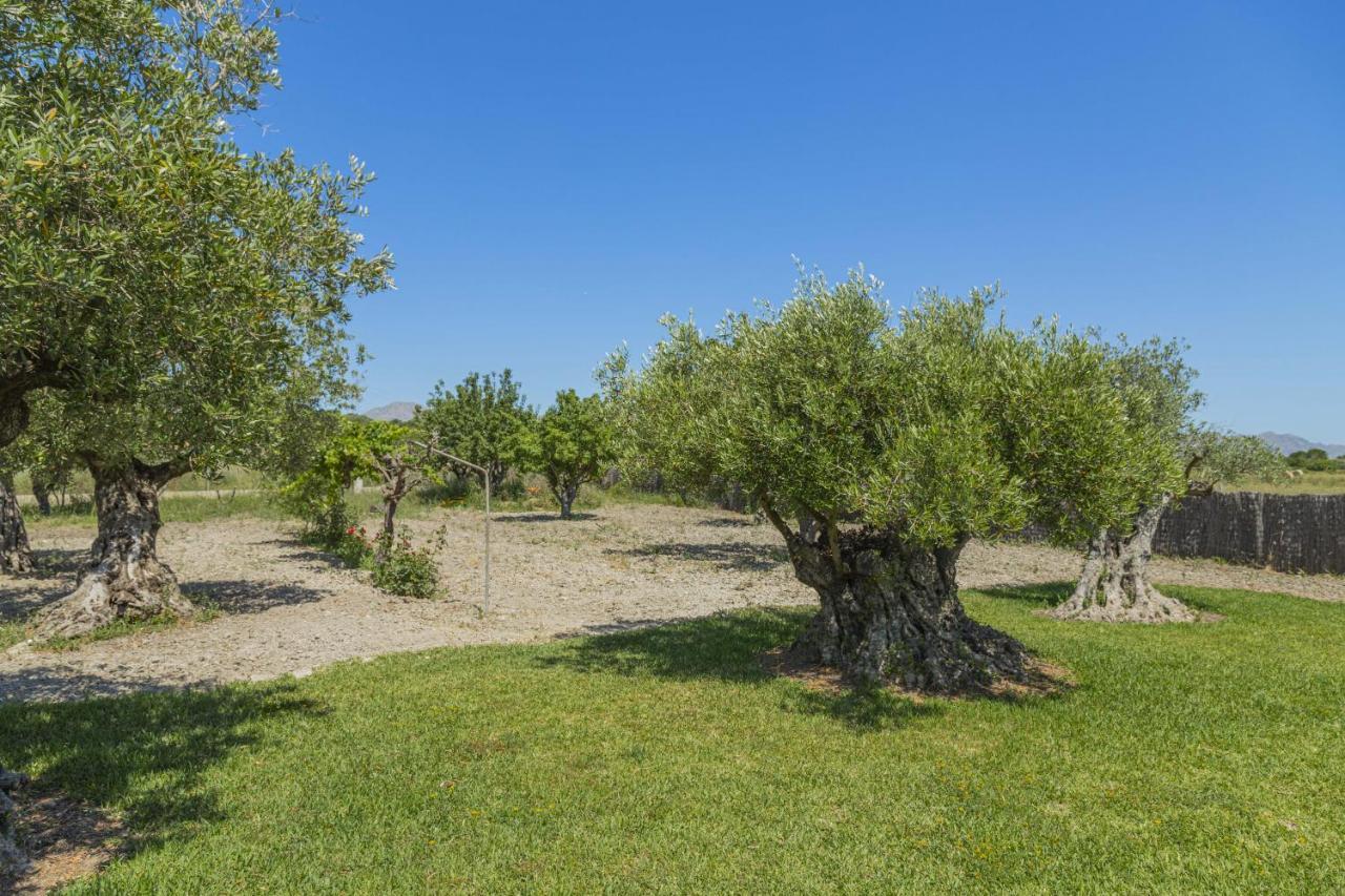 Villa Can Segue Alcúdia Kültér fotó